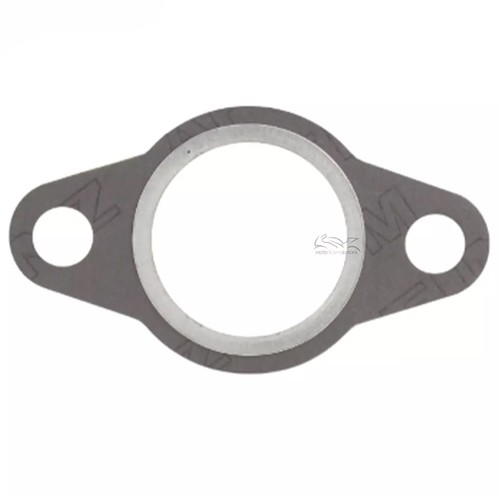 Guarnizione scarico rms - scarico,