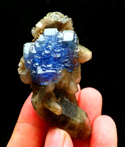 Fantasma blu naturale - 82,2,
