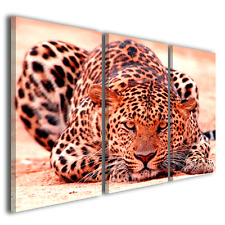Stampe su tela canvas Leopard