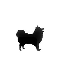 Spilla Spilla Per Cani