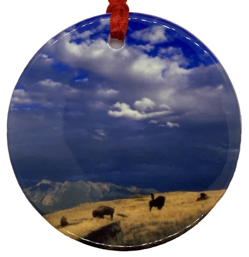 Natural bison range montana - natural,