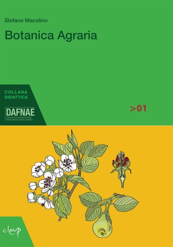 Libri stefano macolino - libri,