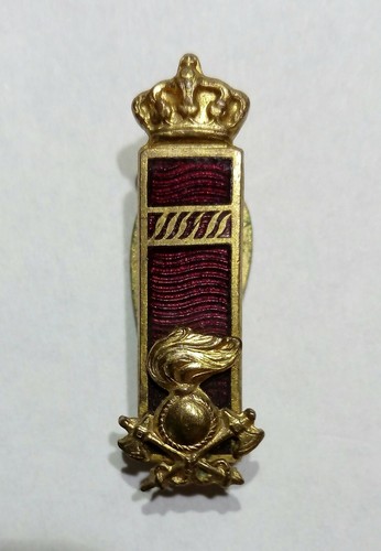 Distintivo gradi genio - distintivo,