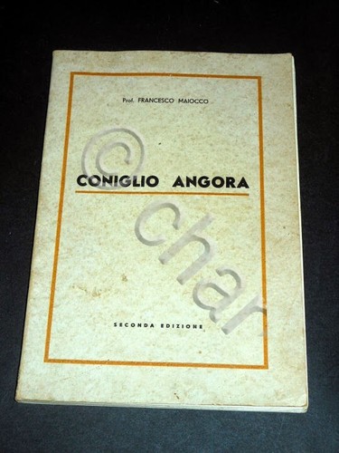 Maiocco coniglio angora - maiocco,