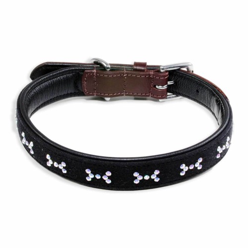 Collare per cani - collare,