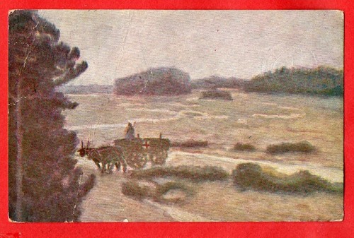 Tommaso cascella croce rossa - cascella,