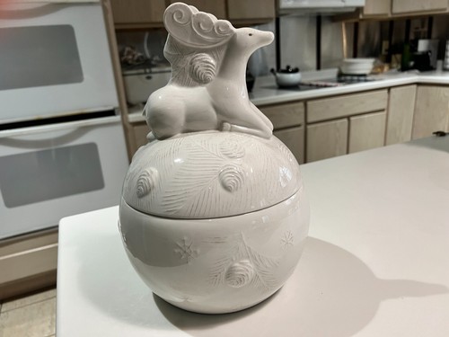 Biscottiera invernale bianca