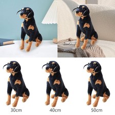 Giocattolo di simulazione del