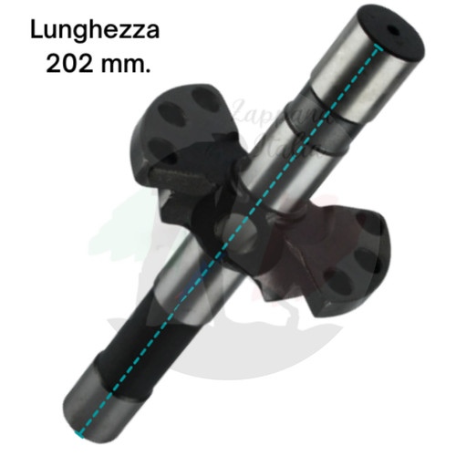 Goldoni albero asse - albero,