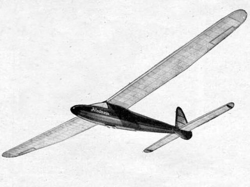 Albatross towline glider - glider, 66"