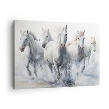 Quadro su Tela 70x50cm Cavalli