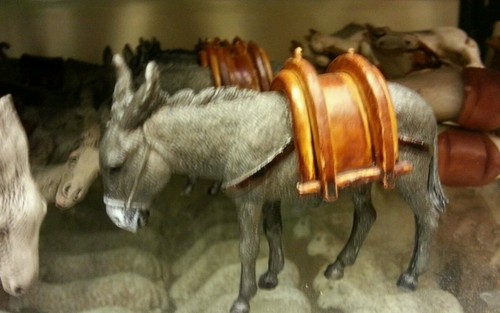 Asino mulo animali per - asino,