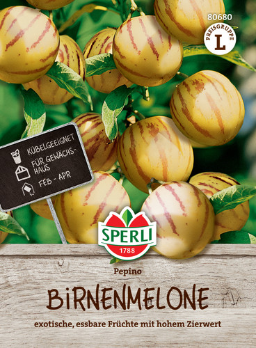 Melone pera pepino solanum - pera,