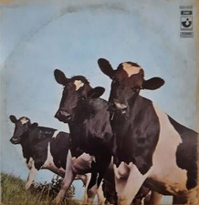 vinili 33 giri pink floyd