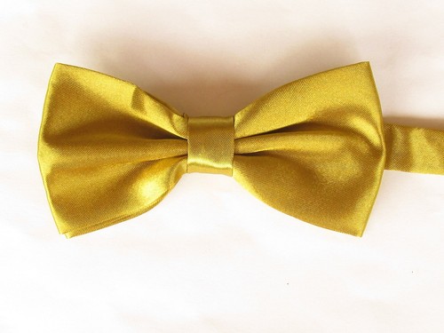 Papillon farfalla seta raso - farfalla,
