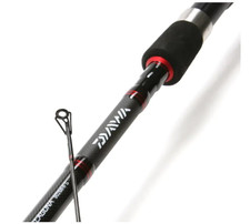 Daiwa Canna da Pesca in
