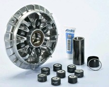 241.735 NUOVO Variatore Polini