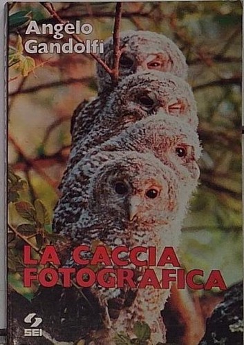 Gandolfi caccia fotografica - caccia,