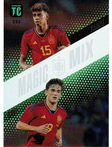 Panini top class 2024 233 - top,