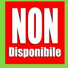 work in progress NOVEMBRE 2024 06