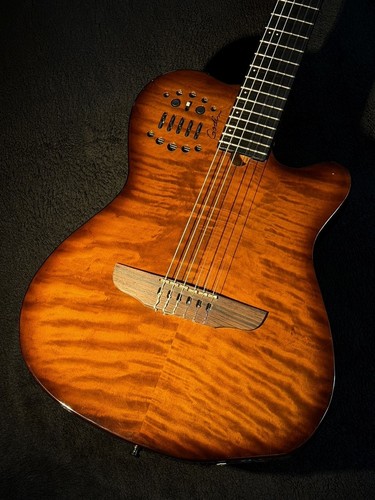 Chitarra acustica elettrica