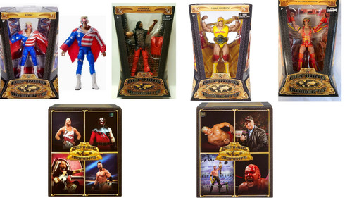 Wwe action figure - wwe,
