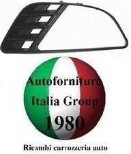 GRIGLIA FENDINEBBIA PARAURTI