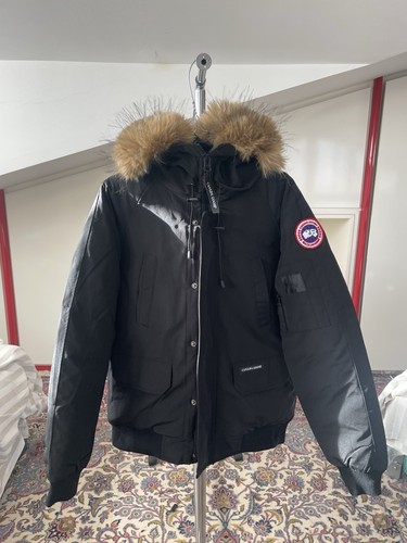 Canada goose - canada,
