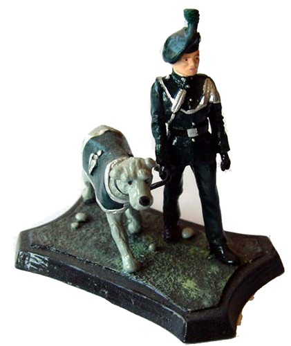 Royal irlandese ranger - royal,