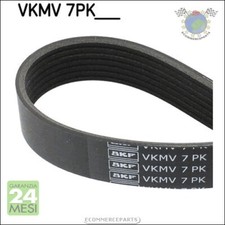 Cinghia alternatore servizy