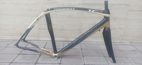 Bici corsa carbonio - in,