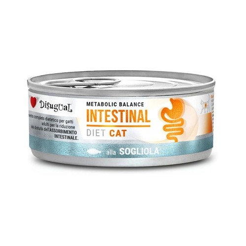 Disugual gatto veterinary - disugual,