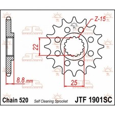 JTF1901.13SC PIGNONE IN