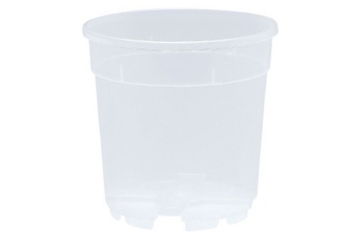 Vaso eco container - eco, per