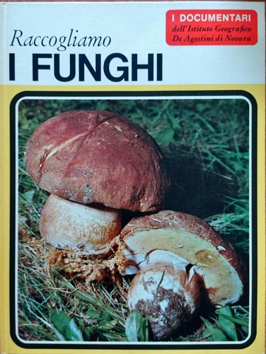 Raccogliamo funghi i - funghi,