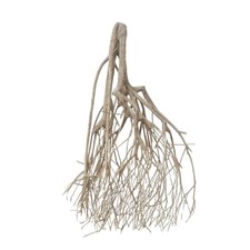 Decorazione radice acquario