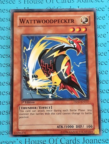 Wattwoodpecker tshd en027 - wattwoodpecker, tshd-en027