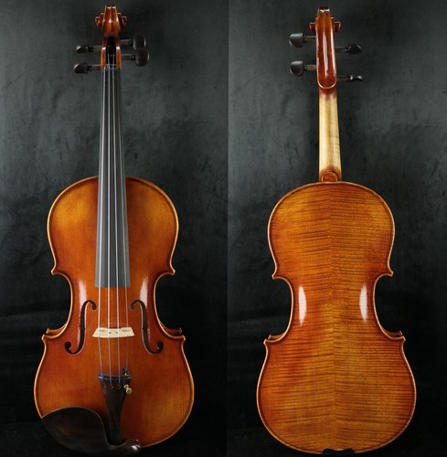 Violino completo professionale