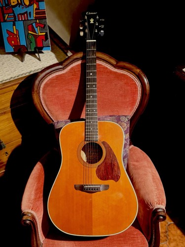 Chitarra acustica cimar - cimar, by