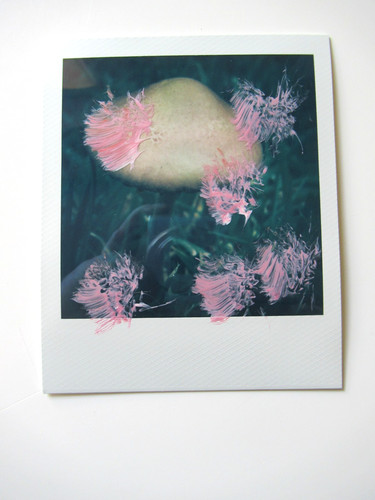 Araki polaroid originale - polaroid,