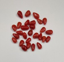 100 naturale italia corallo - 100%,