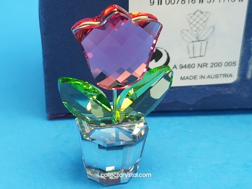 Swarovski rosa tulipano fiori - rosa,