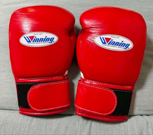 Guantoni boxe vincenti - da,