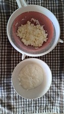 fermenti lattici vivi