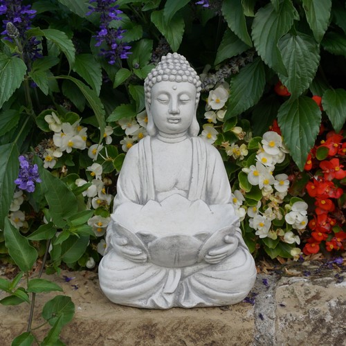 Buddha fiore loto - buddha, ciotola