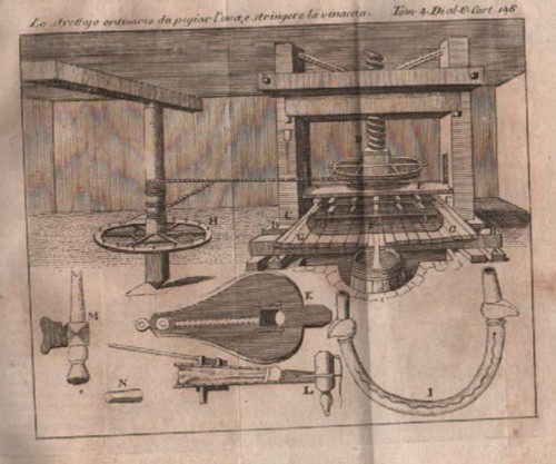 AGRICOLTURA_VENDEMMIA_UVA_VINO