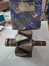 Electric rotor.  Induced