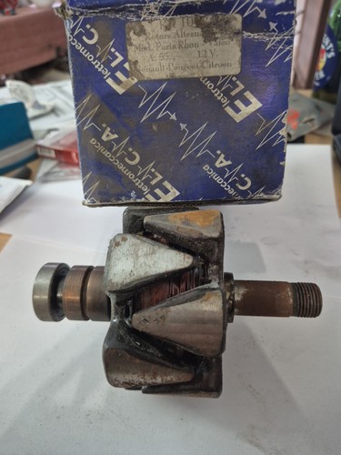 Rotore elettrico indotto - ,