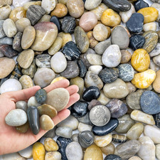 Sassolini Decorativi per Vasi