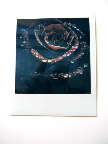 Araki polaroid originale - n.,